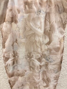 PLT size 6/ M - Sheer Renaissance Print Slip Dress